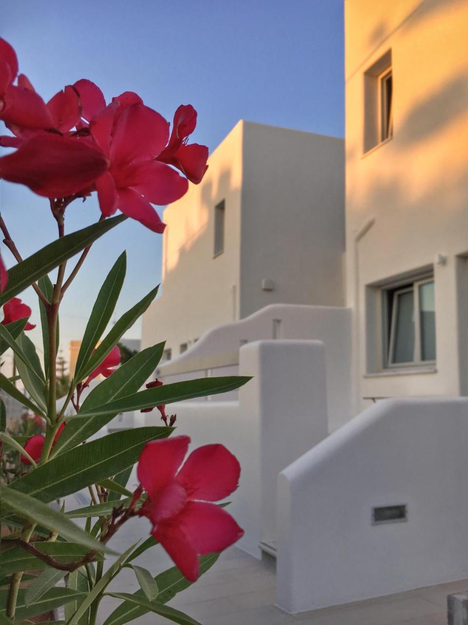 Quartano Luxury Cycladic Residence, Adults Only Naousa Exteriör bild